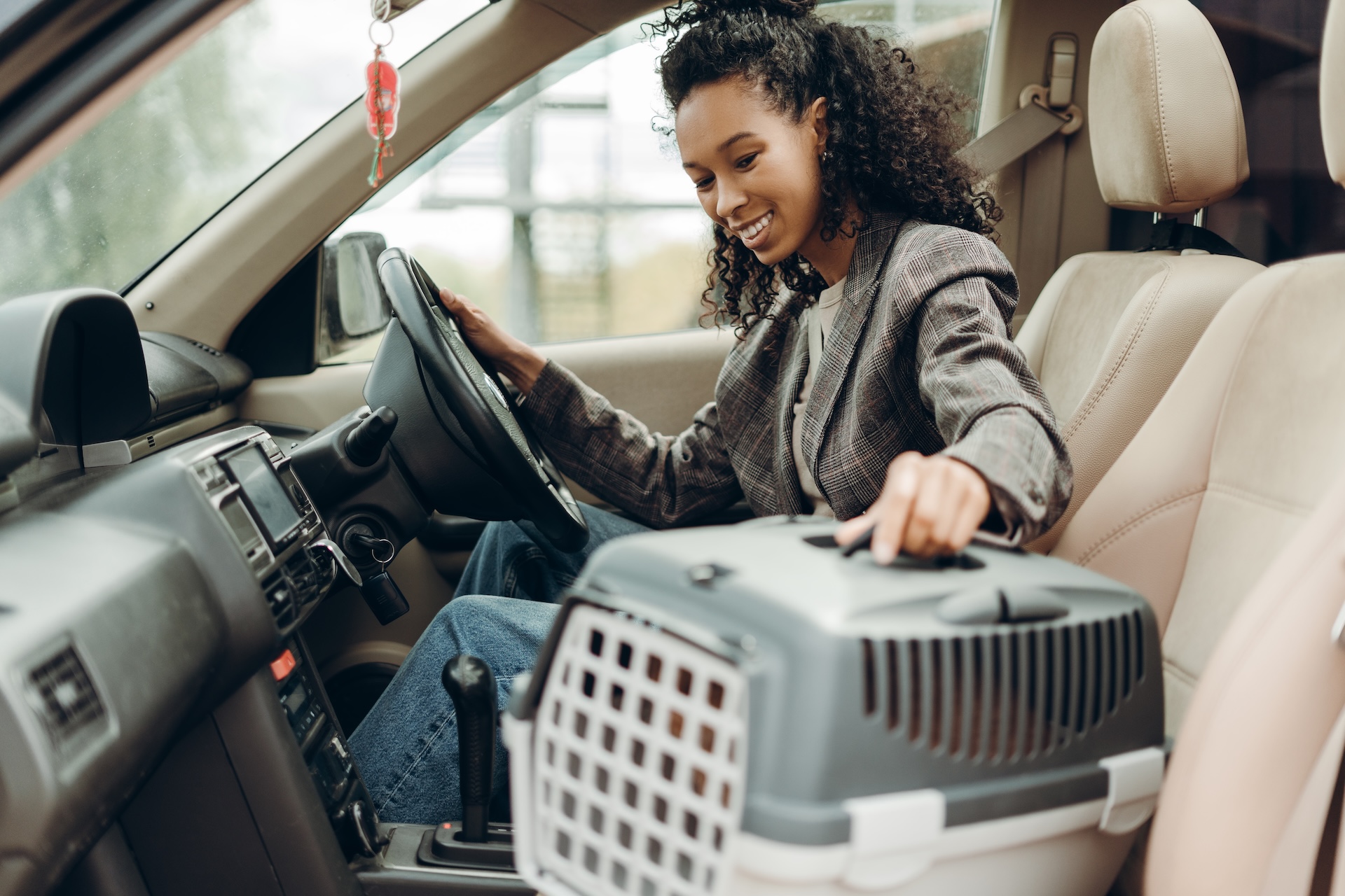 Pet Travel 2